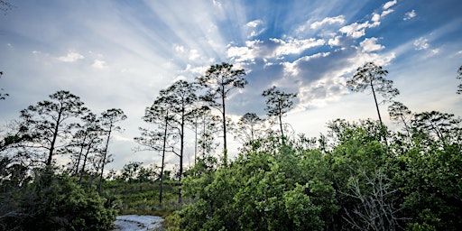 Invasive Species Volunteer Workday at Tiger Creek Preserve