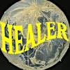 Logotipo da organização Healer