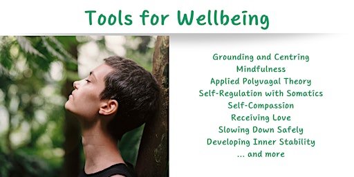 Imagem principal de Tools for Wellbeing