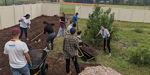 Imagem principal do evento Food Forest Workday