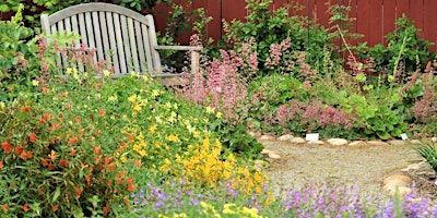Introduction to Gardening with California Native Plants