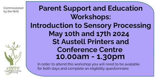 Primaire afbeelding van Parent Support and Education Workshops: Introduction to Sensory Processing