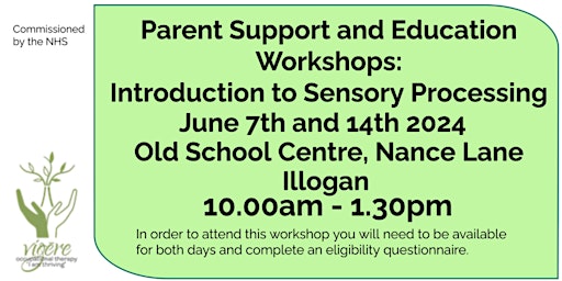Imagem principal do evento Parent Support and Education Workshops: Introduction to Sensory Processing