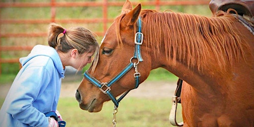 Imagen principal de Interwoven: Therapeutic Horsemanship