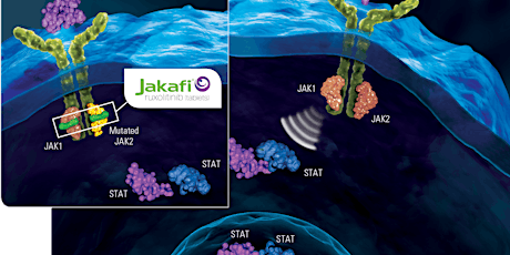 Jakafi in Patients with an Inadequate Response to Hydroxyurea primary image