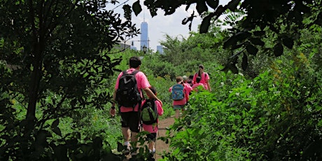 Immagine principale di Park Tours: Habitat Garden 