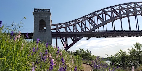 Hell Gate Wildflowers - Meadow Walk & Sow primary image