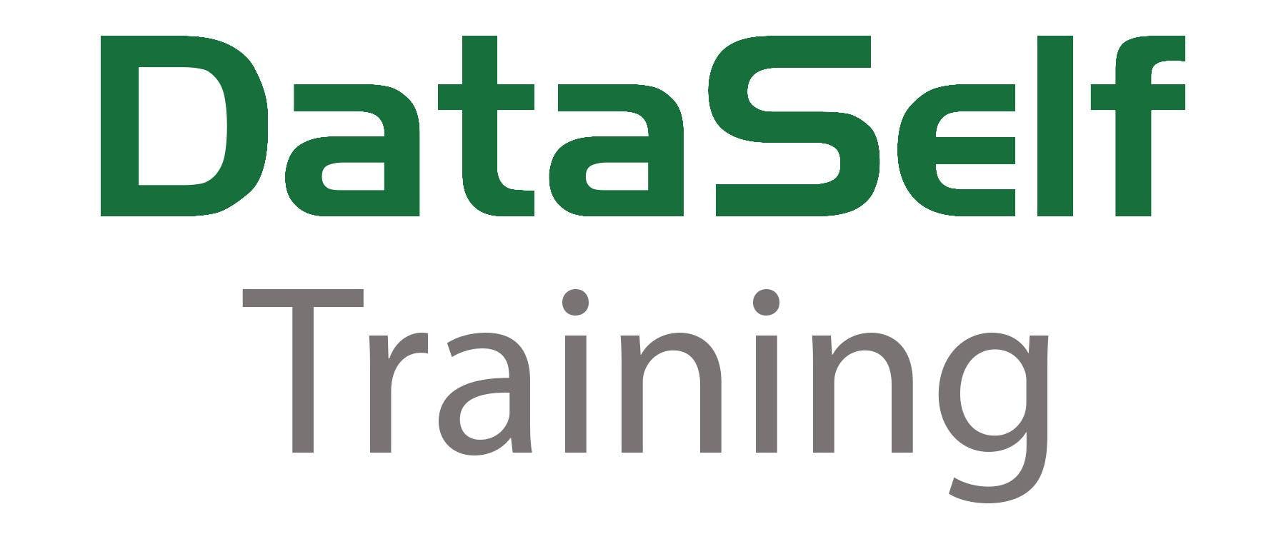 DataSelf Training Classes in Chicago