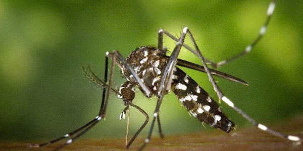 CAT 41 Mosquito Control Pesticide Applicator Training - UGA Gwinnett