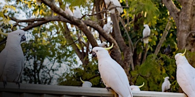 Imagem principal do evento Wildlife Friendly Backyards