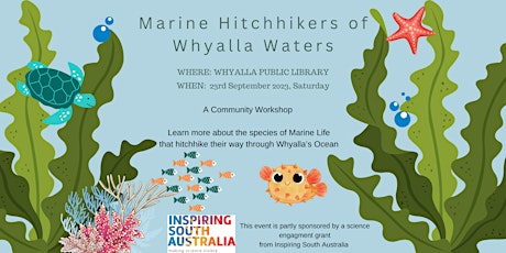 Marine Hitchhikers of Whyalla waters primary image