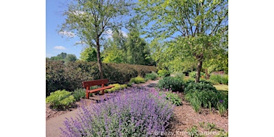 Imagem principal do evento Gift Voucher - 1 Garden Entry at Breezy Knees Gardens, 2024