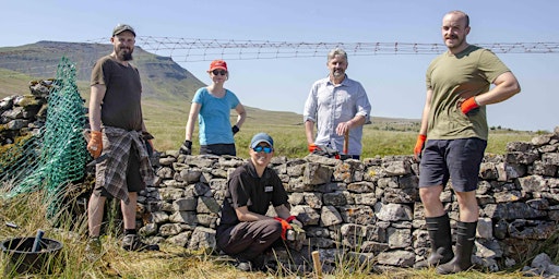 Hauptbild für Practical Conservation Day (April-mid June)