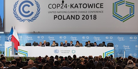 Immagine principale di UN Climate Negotiations | Workshop 