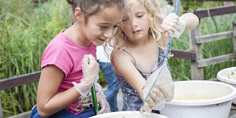 RSPB Pagham Harbour Open Day - free events primary image