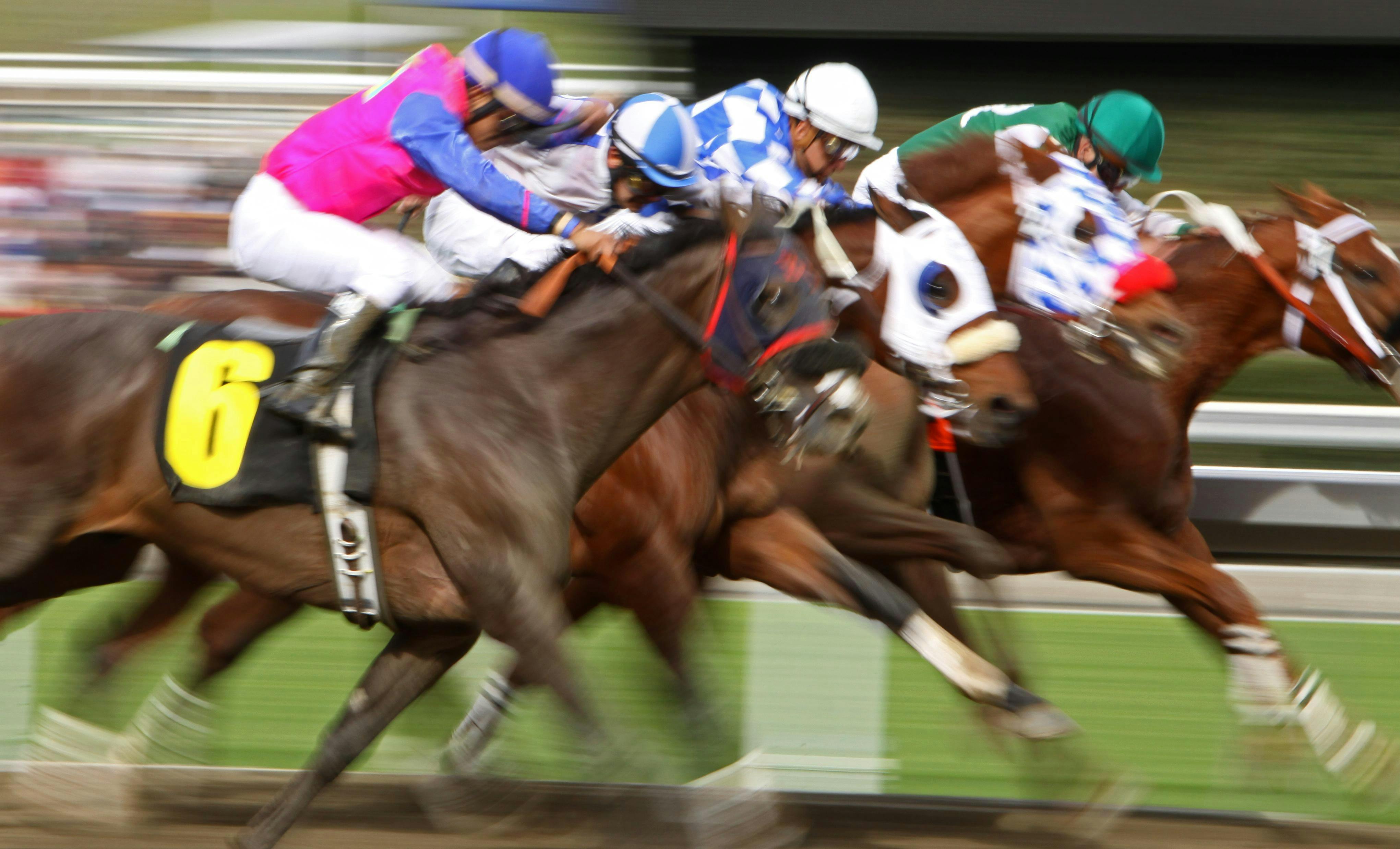 Horses For Courses Course on Horseracing