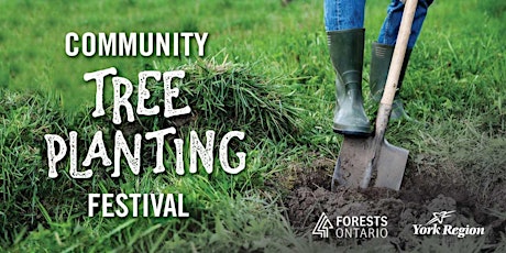 Community Tree Planting Festival - York Region primary image