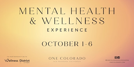 Imagen principal de Mental Health & Wellness Experience