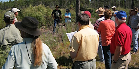 Florida Land Steward Tour at Bob Reid and Betsy Clark's Little Creek Woods  primärbild