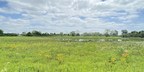 Imagem principal do evento Water Rangers and Lake Erie Guardians Wetland Planting