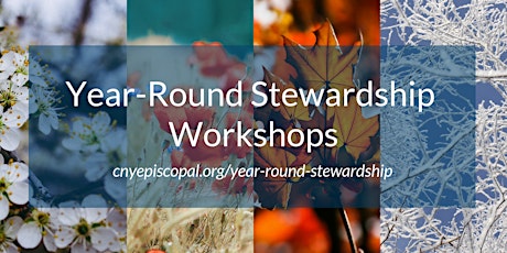 Year-Round Stewardship Workshop (DeWitt) primary image