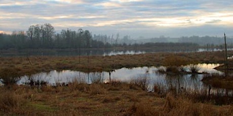 Restoration Project at Jackson Bottom Wetlands primary image