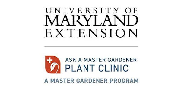 UME MG Statewide Ask A Master Gardener / Plant Clinic Meeting