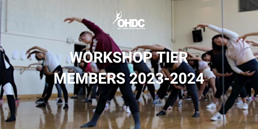 Imagen principal de OHDC Workshop Tier 2023 - 2024