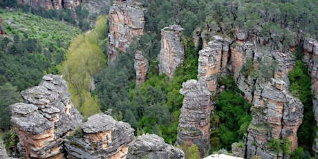 Imagen principal de Senderismo en el Parque Natural del Alto Tajo.