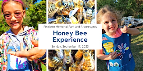 Primaire afbeelding van 5th Annual Honey Bee Experience