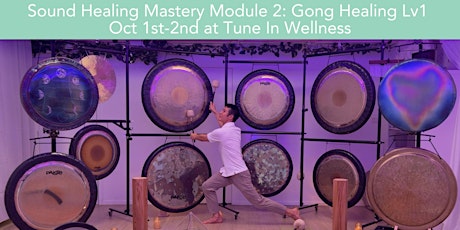 Primaire afbeelding van Sound Healing Mastery Module 2: Gong Healing Level 1