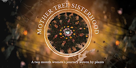 Mother Tree Sisterhood: A Women's Journey Woven by Plants primary image