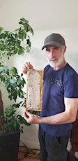 Introduction to Bee Keeping primary image