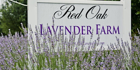 5th Annual Red Oak Lavender Festival primary image