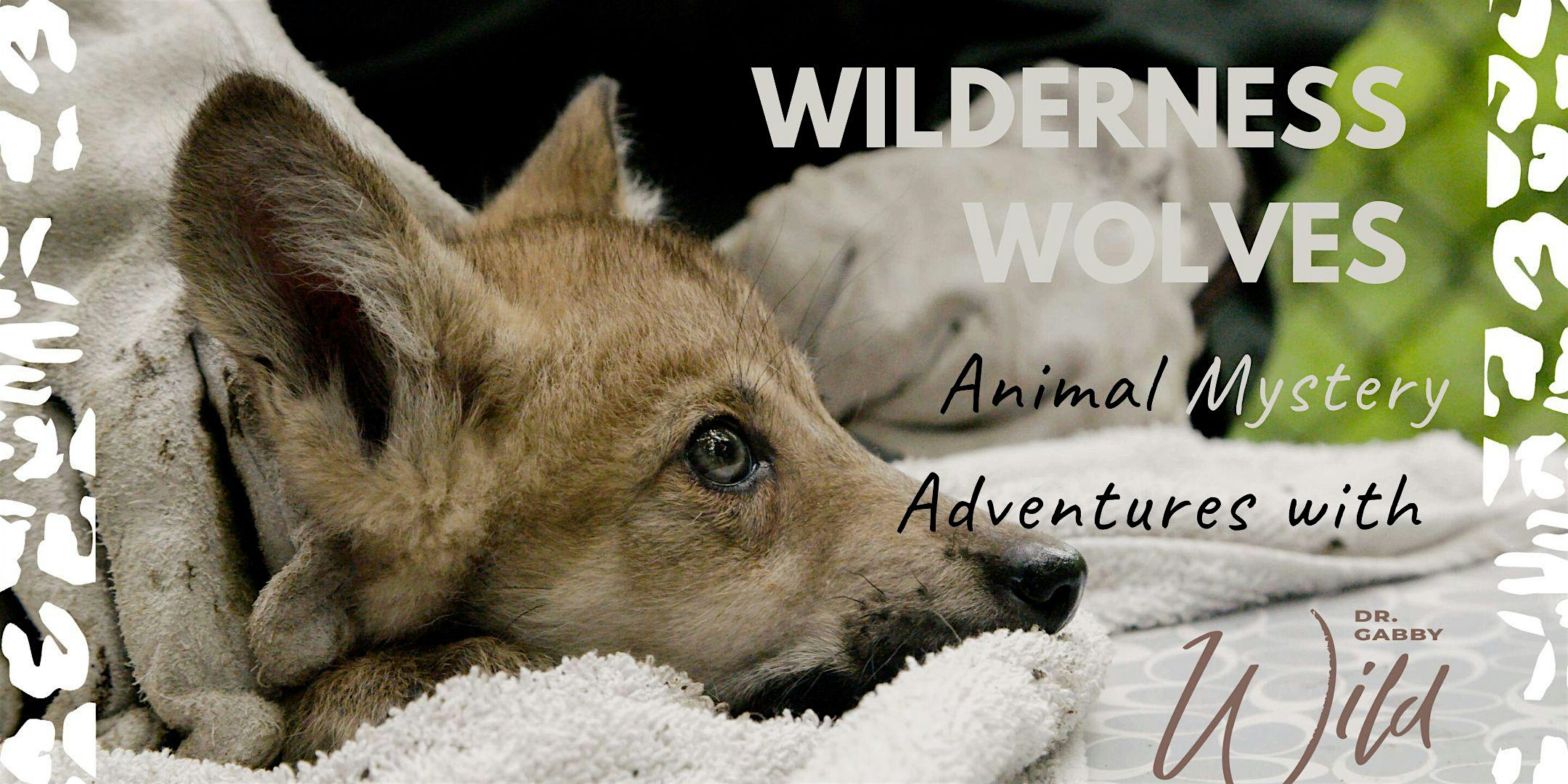 Wilderness Wolves: Animal Mystery Adventures with Dr. Gabby Wild!