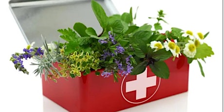 Make Your Own Natural First Aid Kit! primary image
