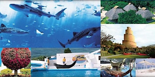 Imagen principal de MCCS Okinawa Tours: NORTHERN TOUR ONLY Expo Park and Churaumi Aquarium