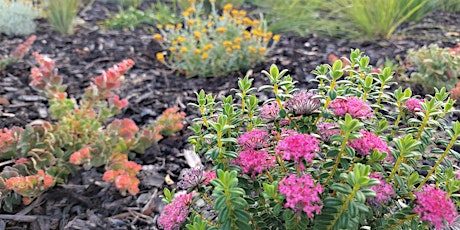 Gardening for small spaces primary image