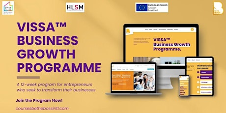 The VISSA™ Online Business Growth Programme primary image