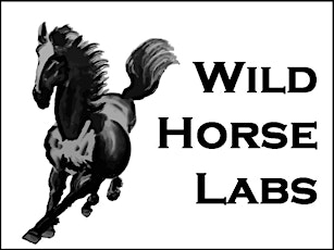 Wild Horse Labs June Investment Accelerator primary image