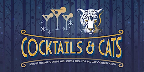 Imagem principal do evento Cocktails & Cats New York City