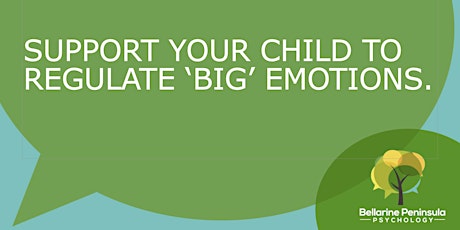 Support Your Child to Regulate Big Emotions primary image