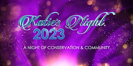 Imagem principal do evento Katie's Night 2023