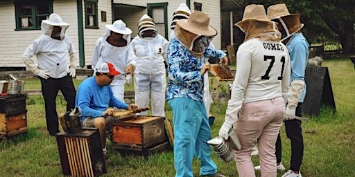 Hauptbild für Beginner Beekeeping Class