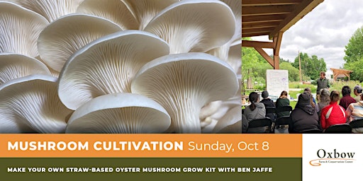 Fall Mushroom Cultivation and ID | Oxbow Workshop primary image