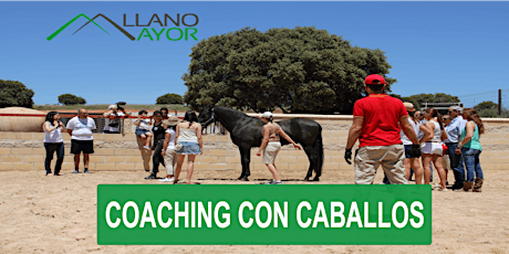 Taller Coaching con Caballos