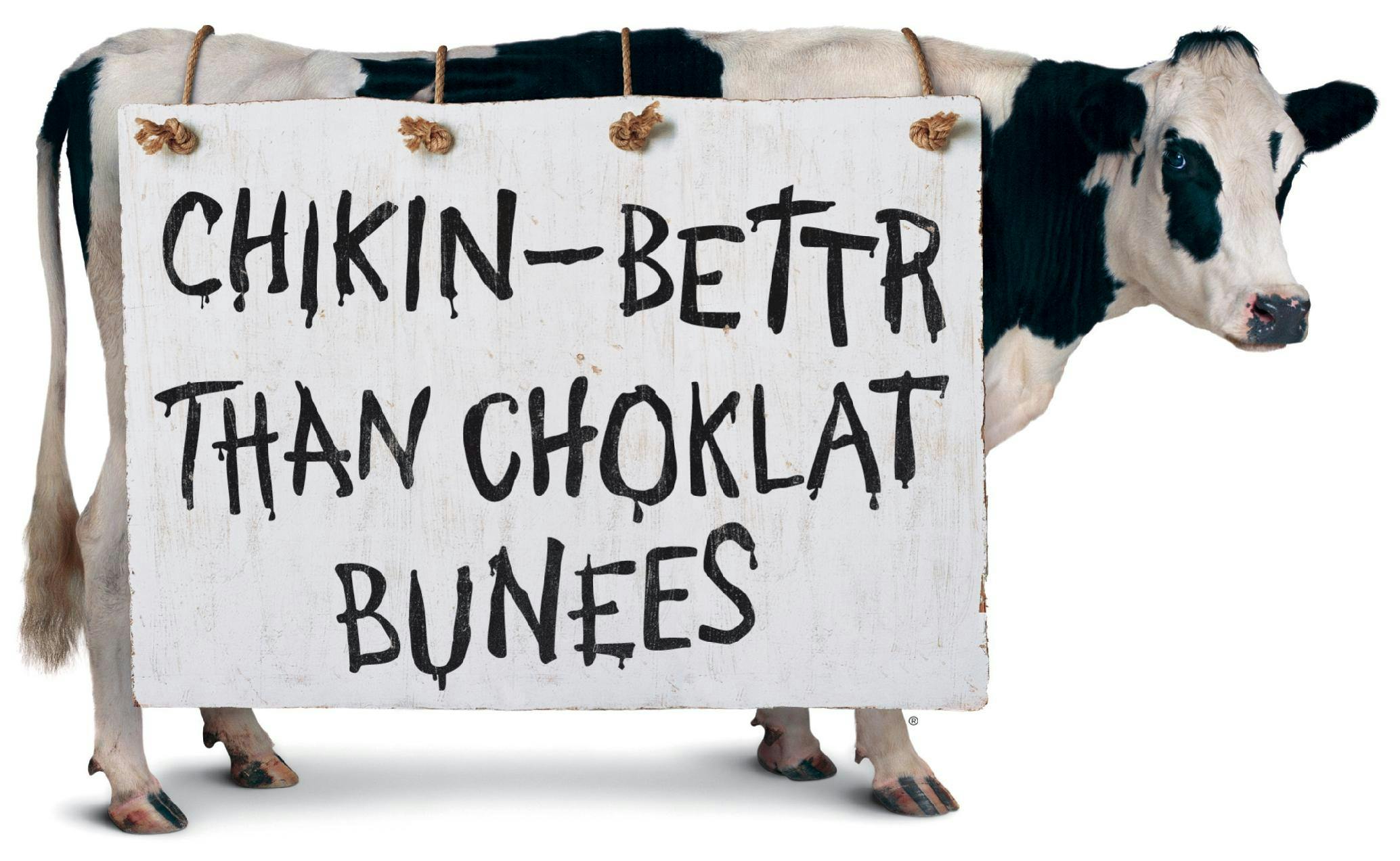 chick fil a cow png