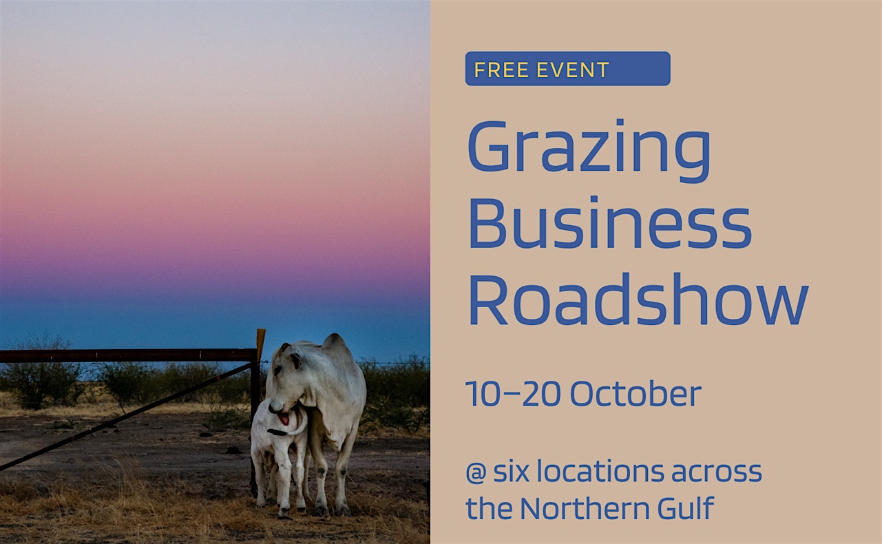 Grazing Business Roadshow – MOUNT SURPRISE