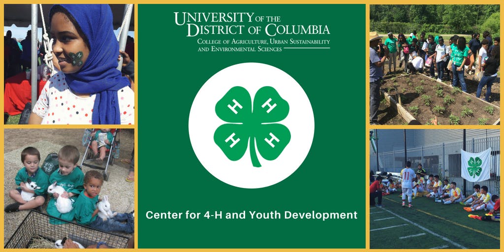 Advancing Youth Development (AYD) One-Day Overview Training for Supervisors