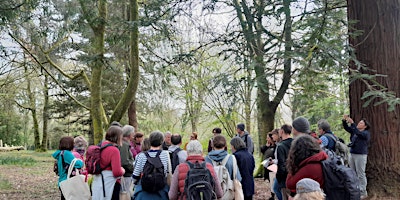 Woodland Trust Ancient Tree Inventory Mapping primary image